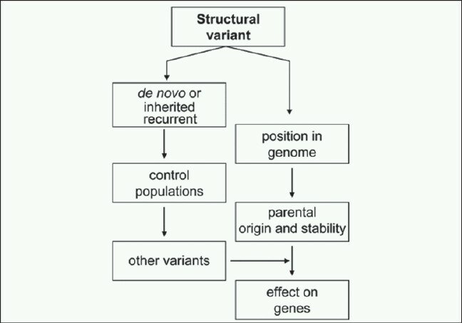 Figure 2: Genetic and genomic considerations of assessing the infl uence of structural variants on gene expression and phenotype/disease manifestation